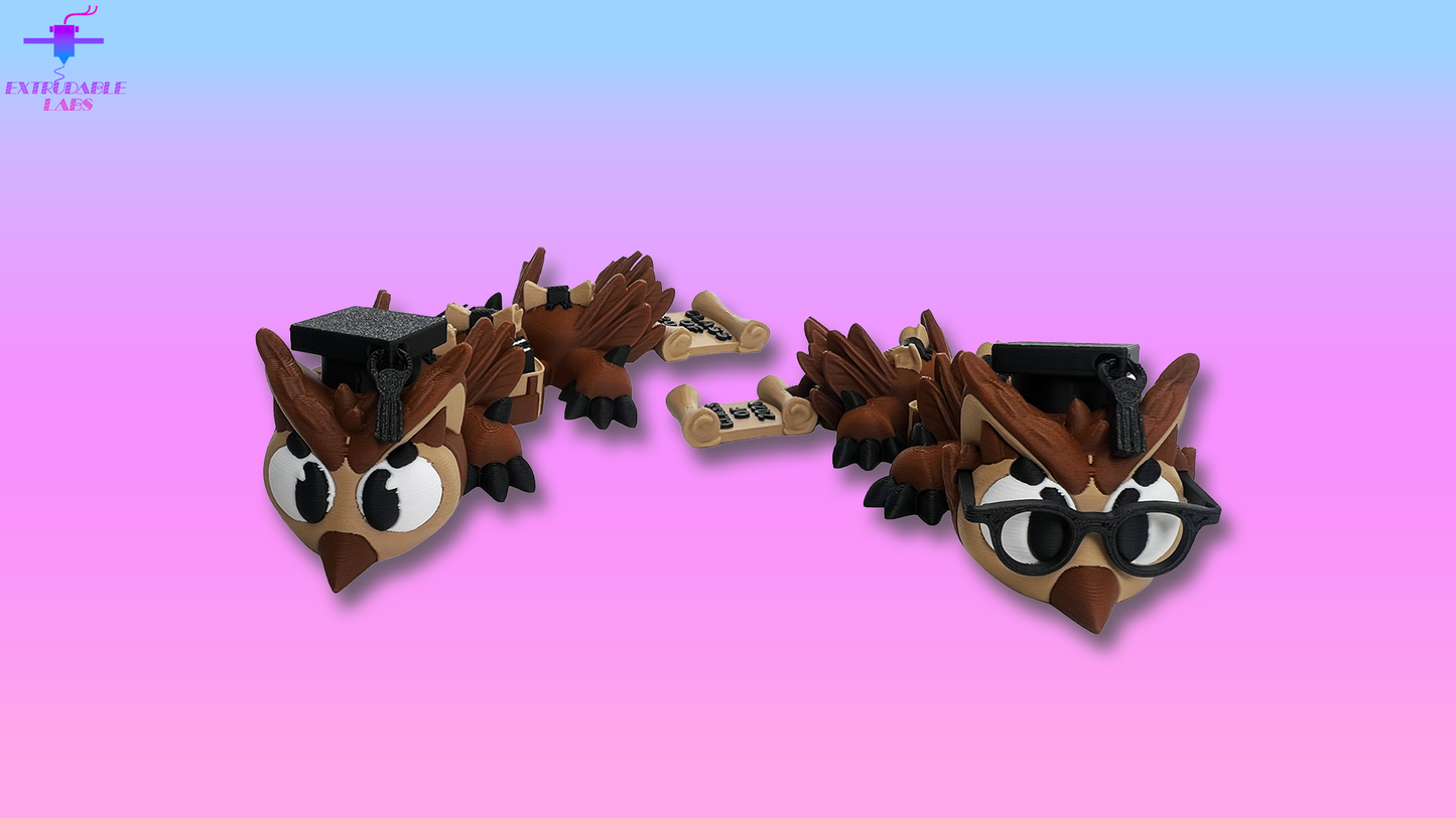 Graduation Owl Dragon