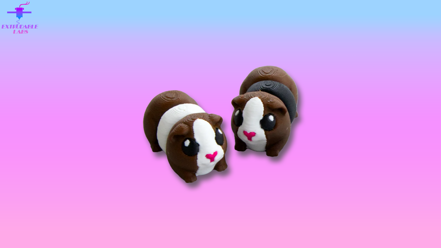 Mini Guinea Pig
