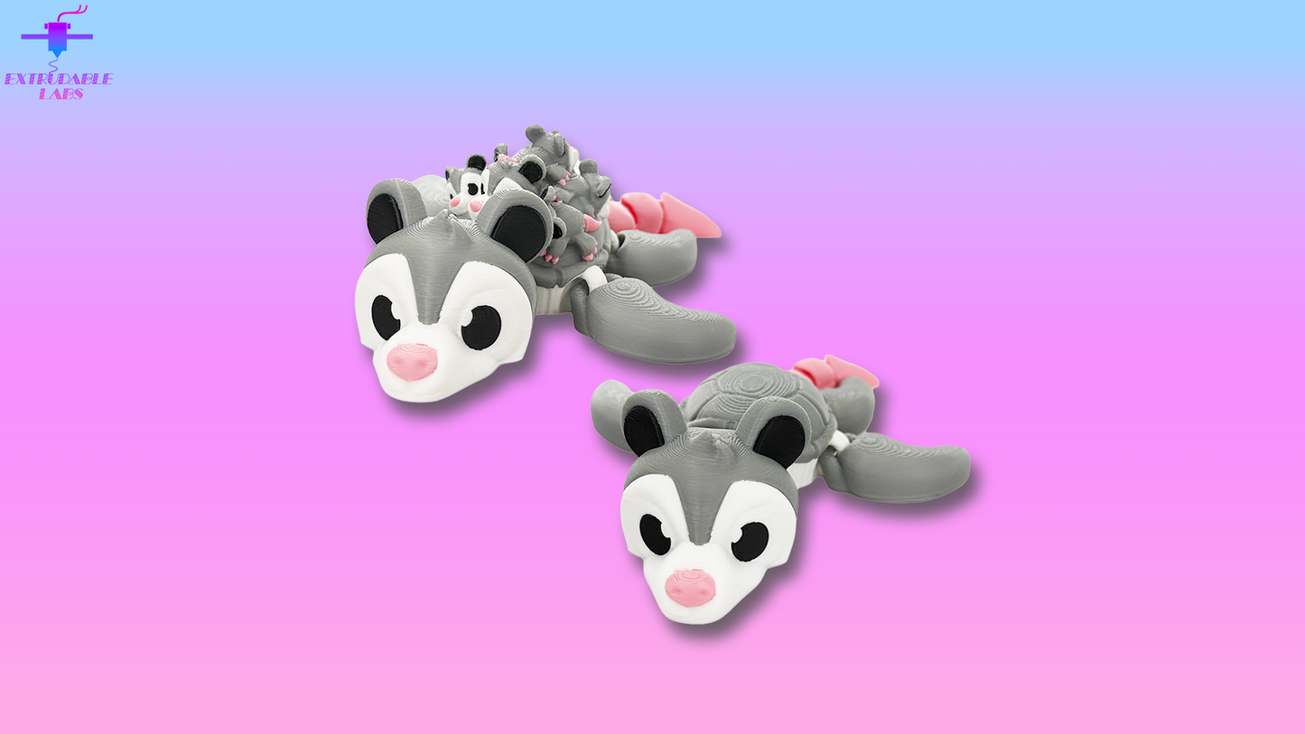 Opossum Turtle