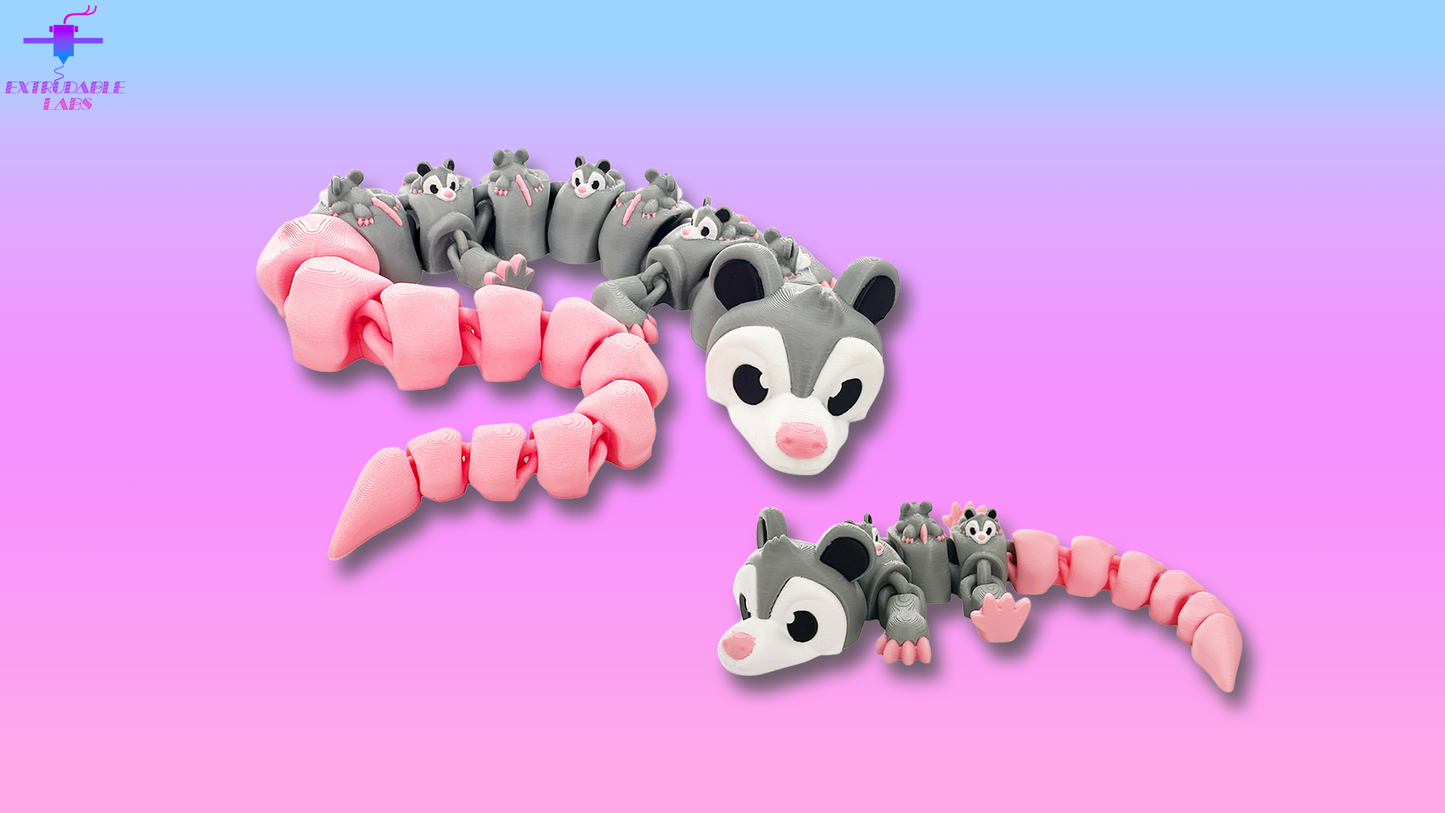Opossum Dragon