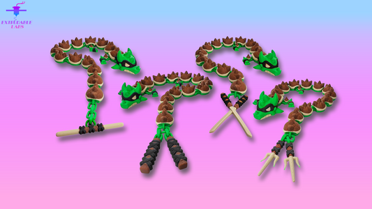 Martial Arts Turtle Dragon